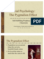 Pygmalion Effect