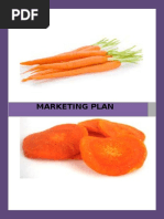 Marketing Plan On Carrot Chips