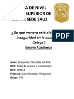 Ensayo Academico PDF