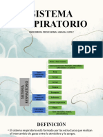 Sistema Respiratorio y Terapia Respirat