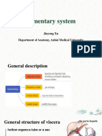 C-4 Alimentary Canal PDF