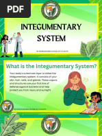 Integumentary System