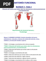 Tema 2-Músculos Del Hombro - 2020-2021 AV