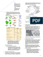 Diversity of Microorganisms Notes