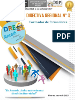 DIRECTIVA 03 - FDF 2023 PDF