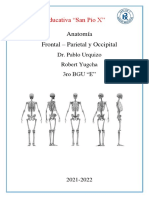 FRONTAL - PARIETAL Y OCCIPITAL - Robert Yugcha 3E