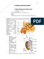 Apostila de Anatomia e Fisiologia Humanas-82-112