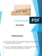 Cicatriz