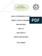 Investigación Física Medio Ambiente