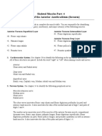 Unit 2 Skeletal Muscles Part 4