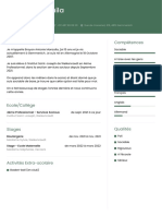 CV de Brayan Manzaila PDF