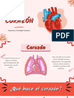 Expo. Corazón