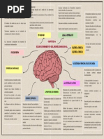 Mapitaa Socioemocional