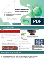 03 - Microorganismos y Su Rol en Los Ecosistemas Ciclos Biogeoquímicos y La Interacción Con El Desarrollo Sostenible