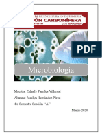 Microtarea 3