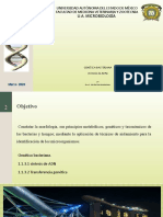 7.0 Genetica Bacteriana ADN y Transcripcion