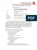 Informe Josk PDF