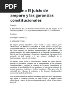 Doctrina El Juicio de Amparo y Las Garantías Constitucionales