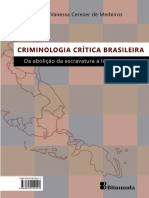 Criminologia Crítica Brasileira