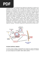 Dengue, Vacuna Contra El Dengue, Proteinas Del Dengue