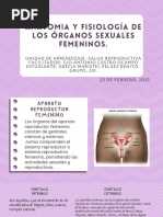 Fisiología y Anatomia de Los Organos Sexuales Femeninos PDF