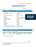 Informe Escalafonario