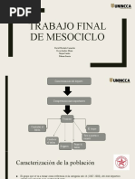 Presentacion Final Mesociclo