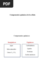 Componentes Quimicos - Celula 2021-II