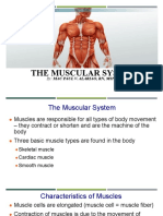 Muscular System