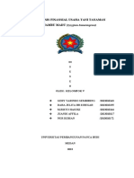 Makalah Jambu Madu Kelompok 5