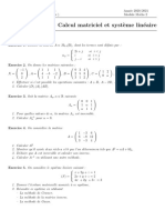 Serie Matrice Et Determinant