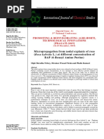 Micropropagation From Nodal Explants of Rose (Rosa Hybrida L.) at Different Concentration of BAP (6-Benzyl Amino Purine)