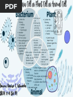 Bio Task 4