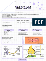 La Neurona Mapa 2