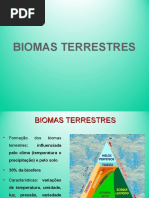 Aula 2 - BIOMAS TERRESTRES