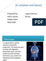 Pancreatic Amylase and Lipase)