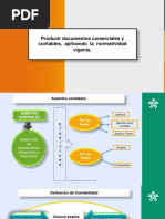 Producir Documentos Comerciales y Contables, Aplicando La Normatividad Vigente