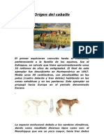 Origen Del Caballo 1