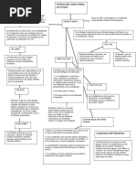 Federacion Como Forma de Estado