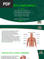 Aorta Abdominal