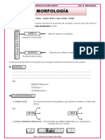 La Morfología para 3RO de Secundaria