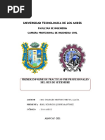 1.primer Informe de Practicas - Emil Rodrigo Quispe Martinez