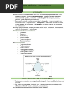 Energias de Ordem Mecanica