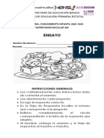 Ensayo: Subsecretaría de Educación Básica Dirección de Educación Primaria Estatal