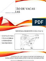 Nutrição de Vacas Leiteiras