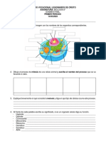 Examen Biologïa Octavo