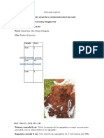 Primera Evaluación Zona: Santa Rita, Alto Parana Paraguay Uso: Pastura de Pisoteo