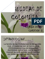 Orquideas de Colombia