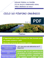 Ciclo Do Fósforo Orgânico