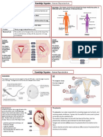 Knowledge Organiser - Human Reproduction